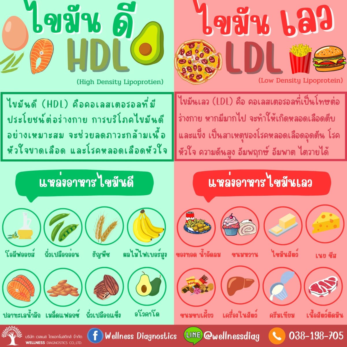 ไขมัน (6)
